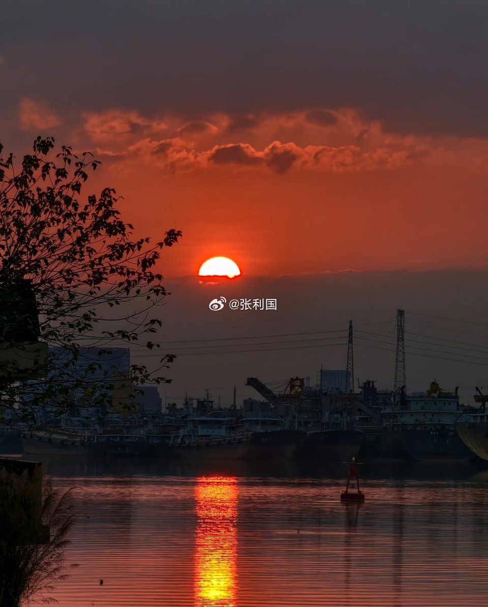 今后就做个安静的哑巴，不卑不吭不响不闻不问，摆好自己的位置，管好自己的脾气，言多