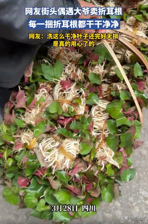 四川，女子看到一位大爷在路边买东西，开始还以为是卖花，走近后才发现是卖折耳根，而