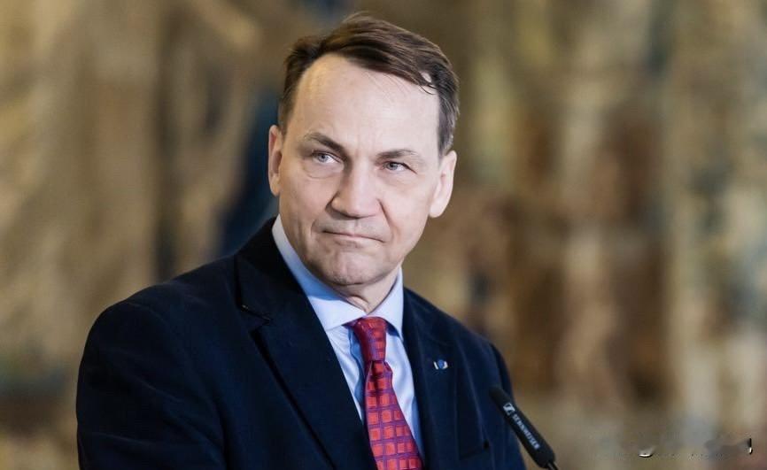 波兰副总理兼外长西科尔斯基表示，乌克兰部分无人机生产线已经转移至波兰境内。这一安