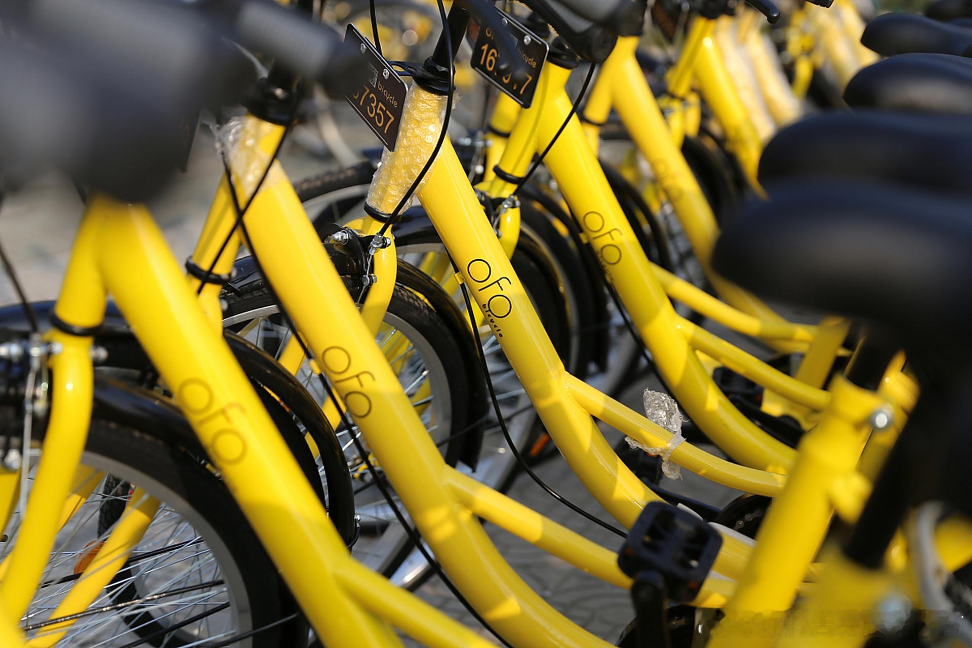 霸蛮米粉没收了我的余额从ofo到许留山，从健身房跑路到理发店倒闭，剧本都一样：充