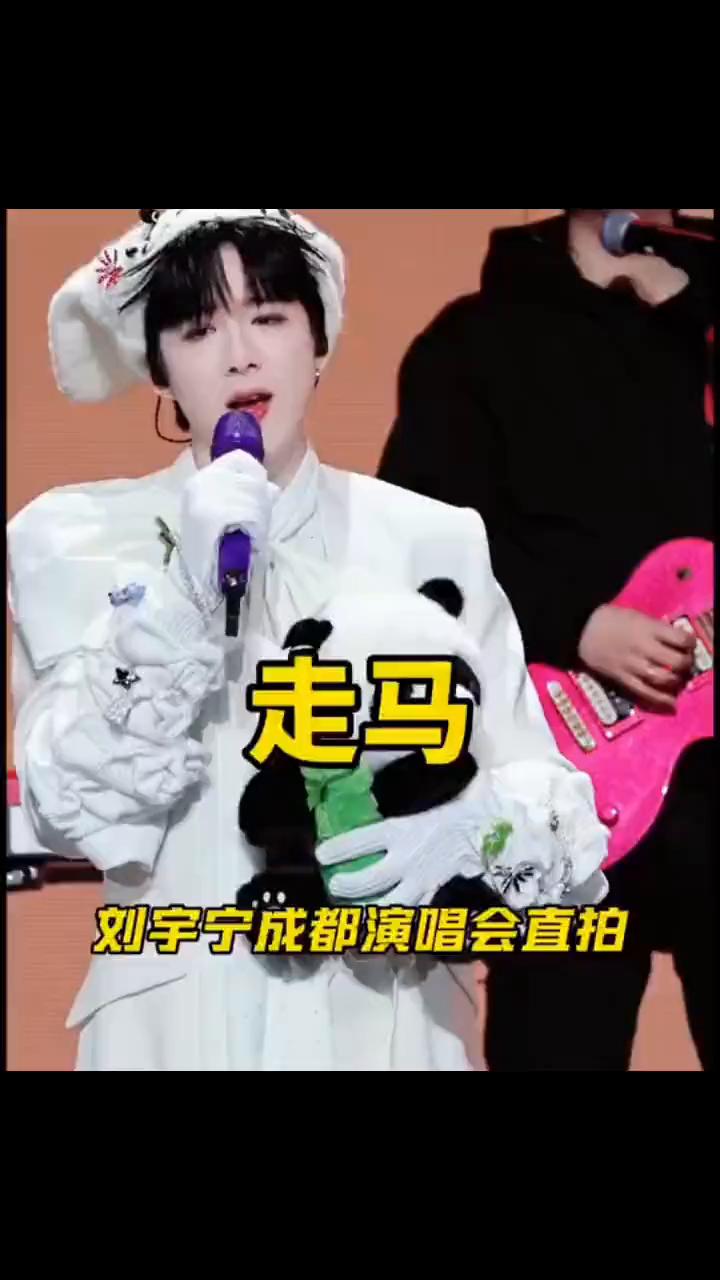 刘宇宁成都演唱会直拍。