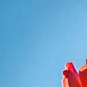 99.99%的焦虑都来自于虚度时间和没有好好做事。所以唯一的解决办法就是行动起来