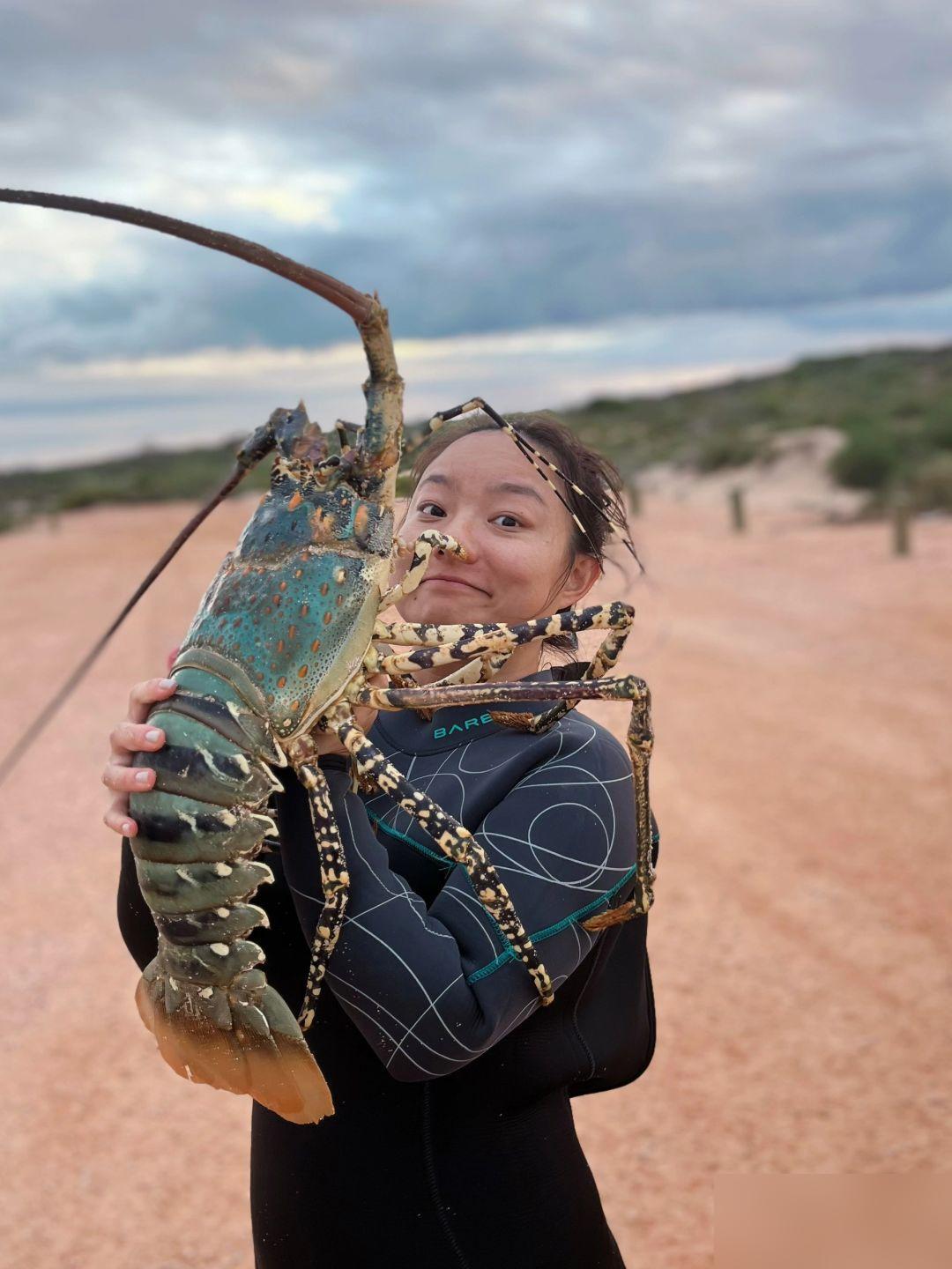 在西澳Exmouth 超大Crayfish🦞

#西澳# #WA# #Exmo