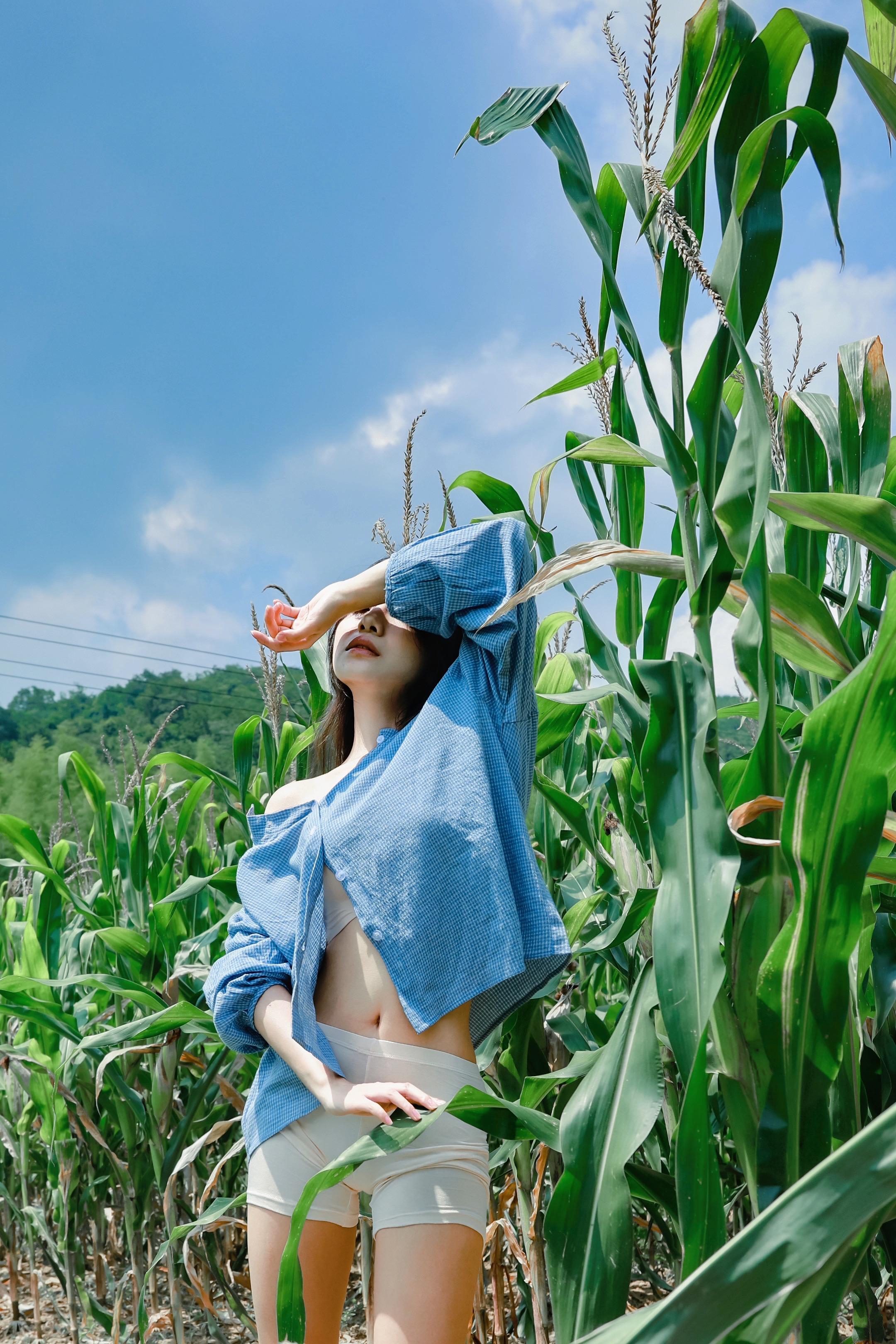 阳光透过｜一片玉米地。《少女户外慵懒写真》 模特