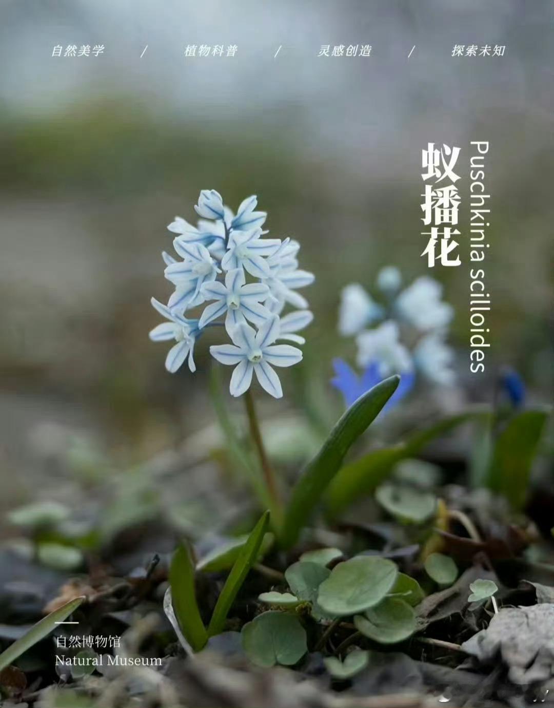 早安 “奇花异草 ，大自然的神秘宝藏…”世间最美好的遇见，就是我恰好路过，你正好