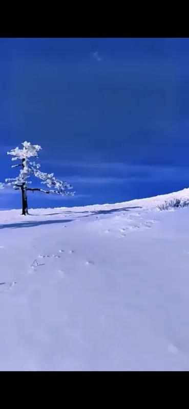 上联：春赏绿水青山
下联：冬看冰天雪地