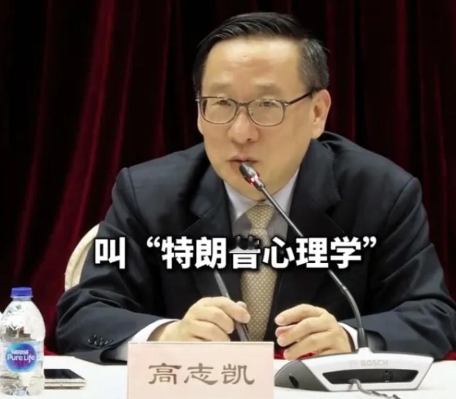 真是杀人诛心，高志凯教授再次语出惊人，建议9.3阅兵不仅要邀请特朗普来，还要邀请