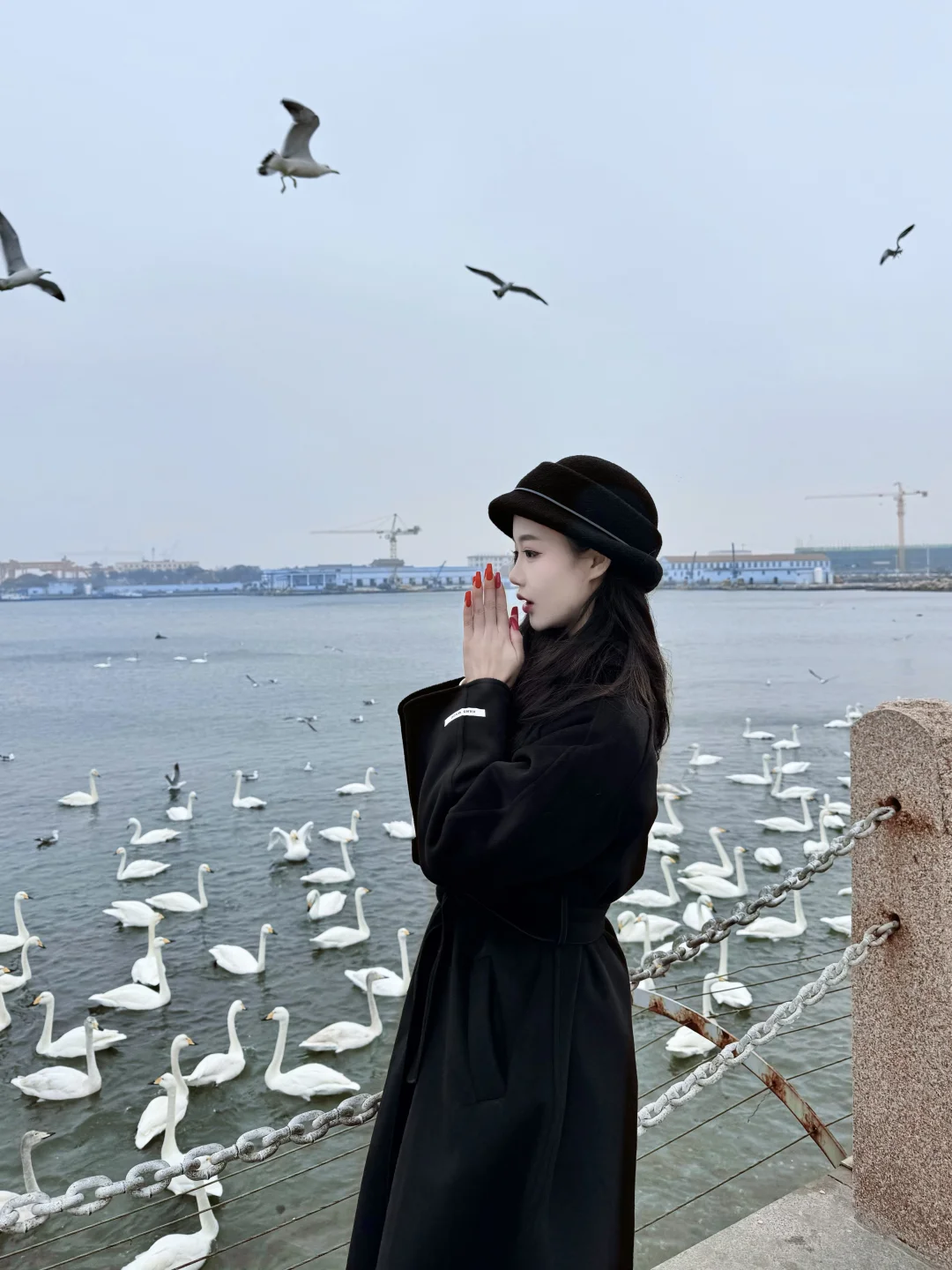 冬天的威海好美🦢