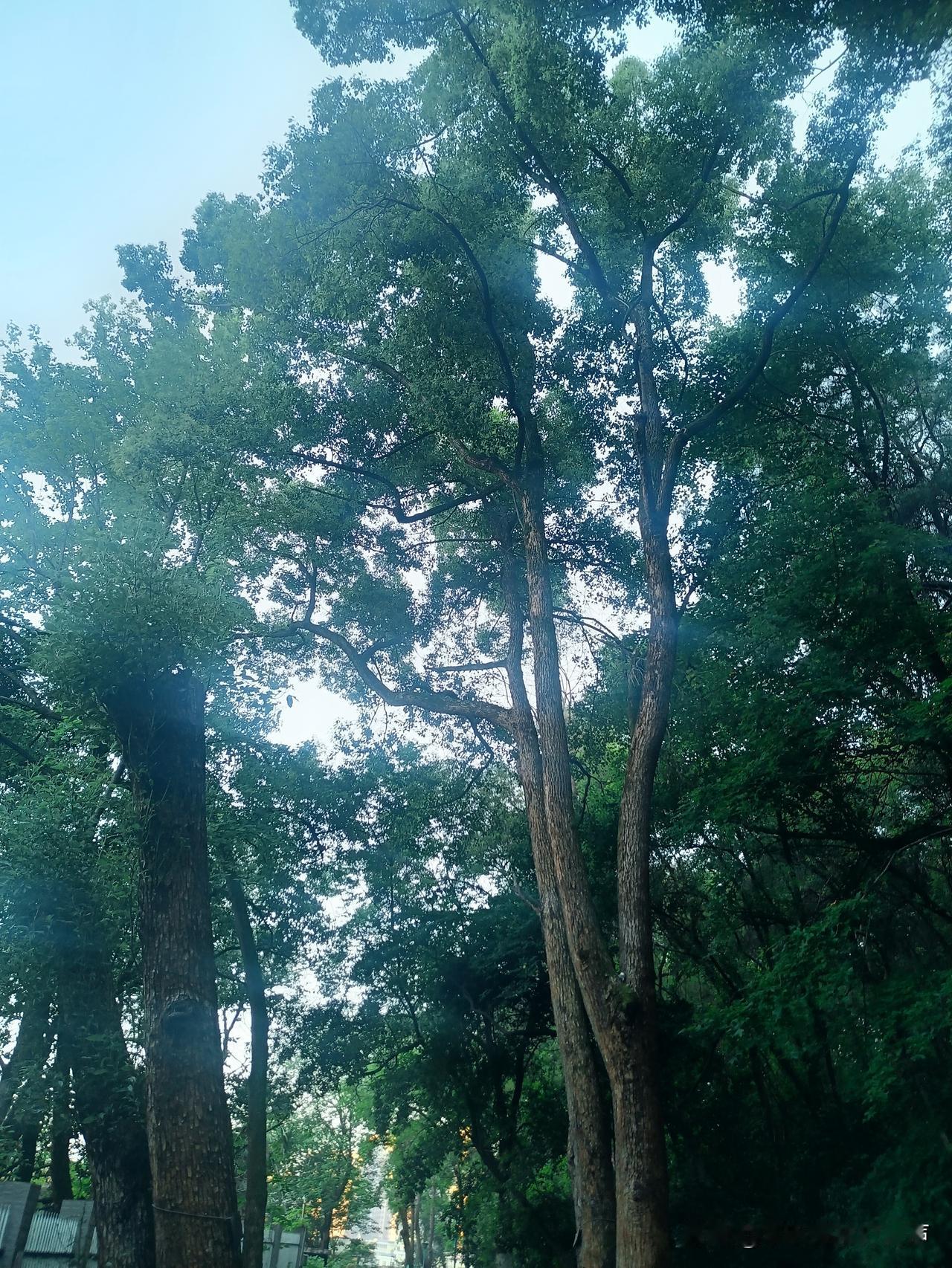 五月股市开门红，节前持股的朋友这下可赚翻了！

如果节前买了大科技方向的，今天节