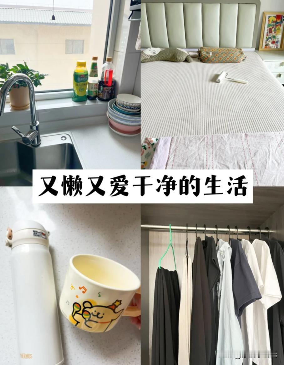 以前总被骂“懒”，直到我开始摆烂，生活反而顺了！原来“偷懒”才是成年人顶级的生活