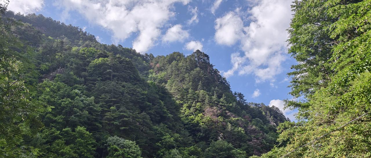 主力资金从前期涨幅较大的强势股（太极实业、风华高科、工业富联）和传统防御板块（医