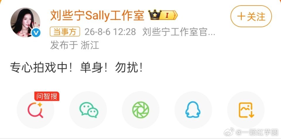 何与 刘些宁双方都已经辟谣了！明确是单身！散了吧 
