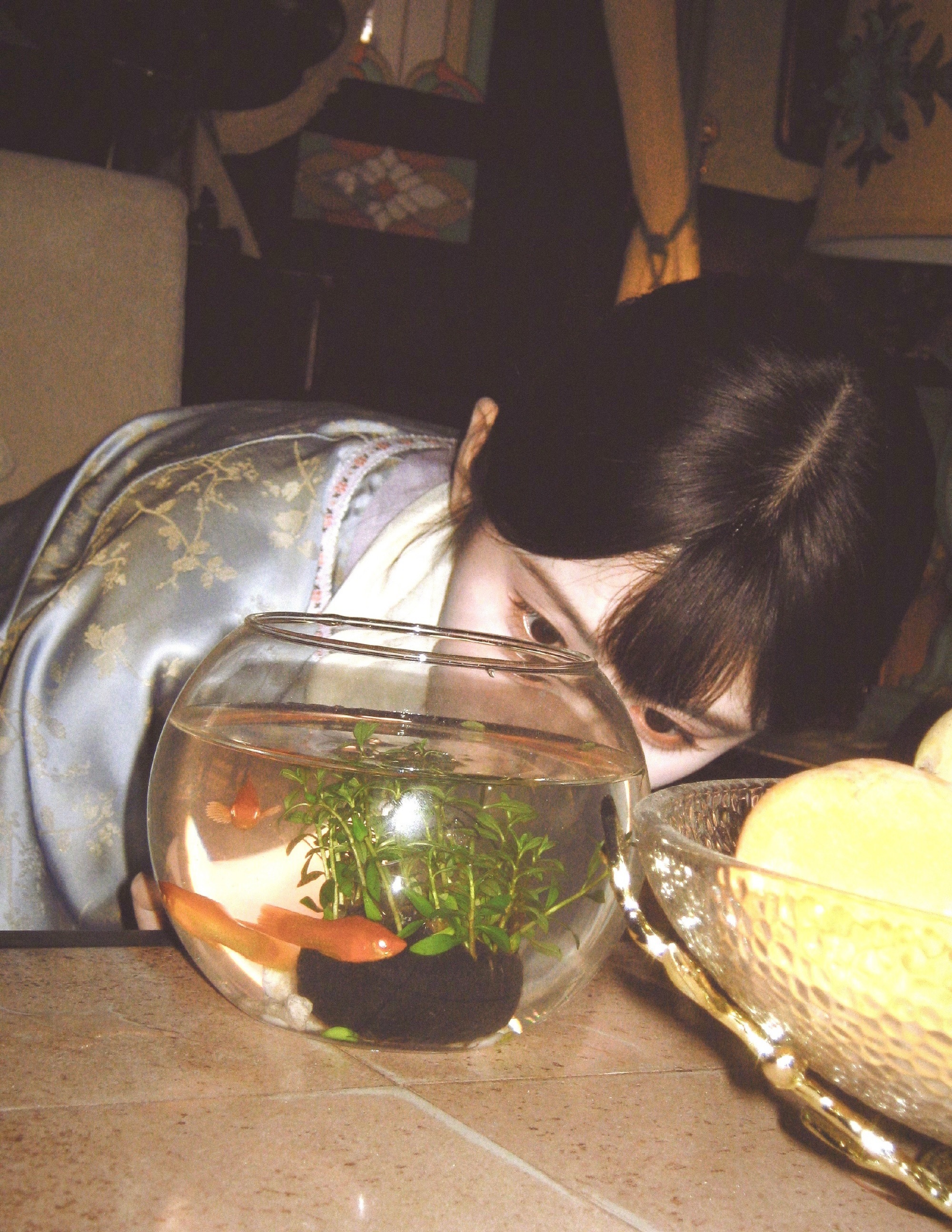 鞠婧祎  jjy鞠婧祎 jjy鞠婧祎苏绿夏 🖤··瞳孔和心跳的距离 在与你对视