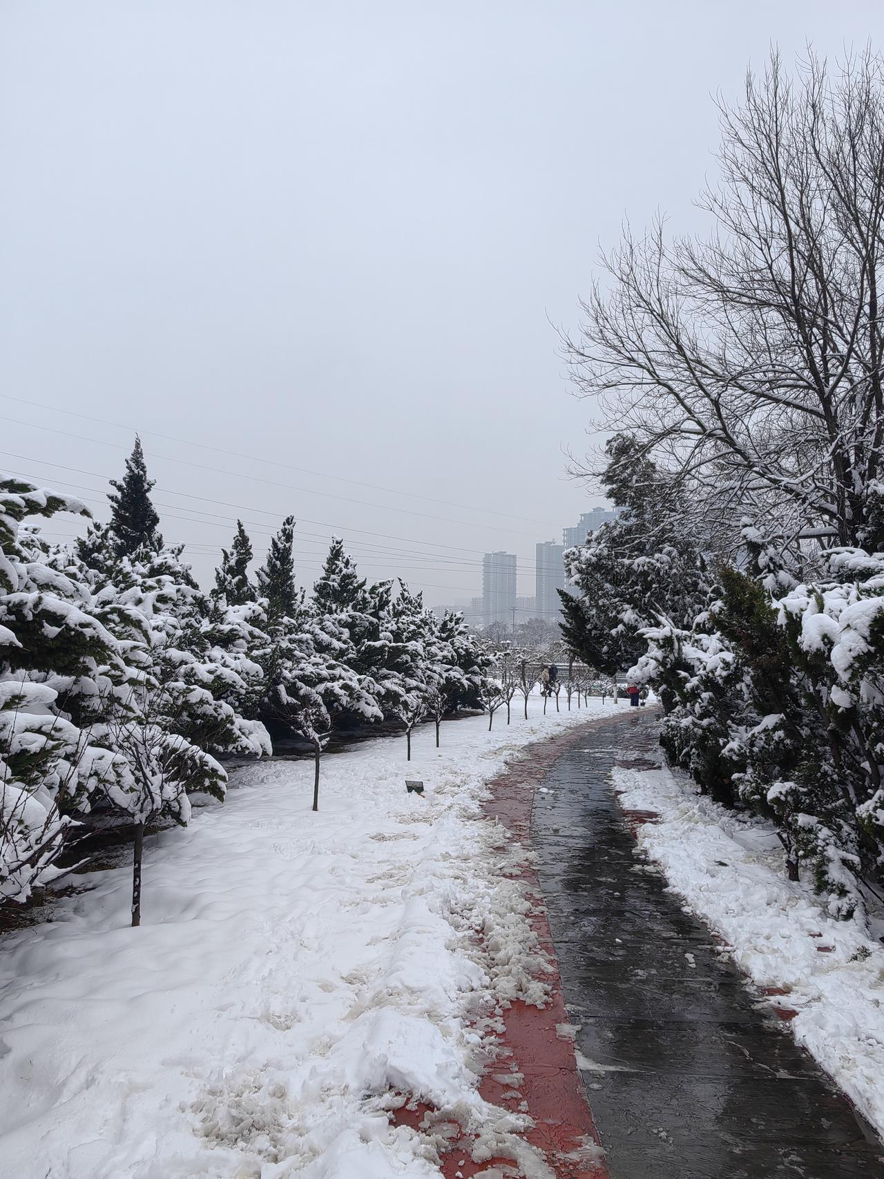 赤壁之战,刘备一方到底做了啥?打个比方，二战时期，德军击败法国，法国宣布投降，这