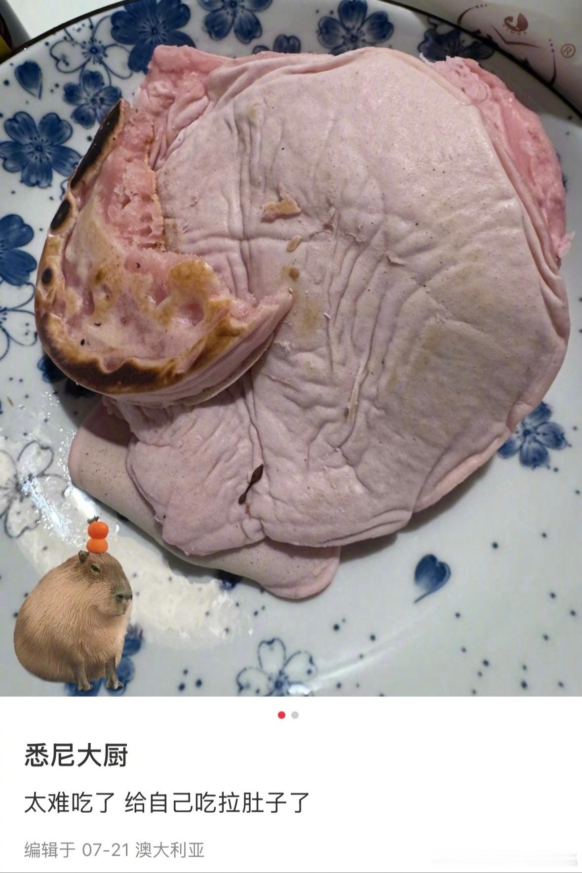 这份生猪肉（松饼）做得很好，下次还是不要再做了！离谱事件新星闪光计划魔金石科技[