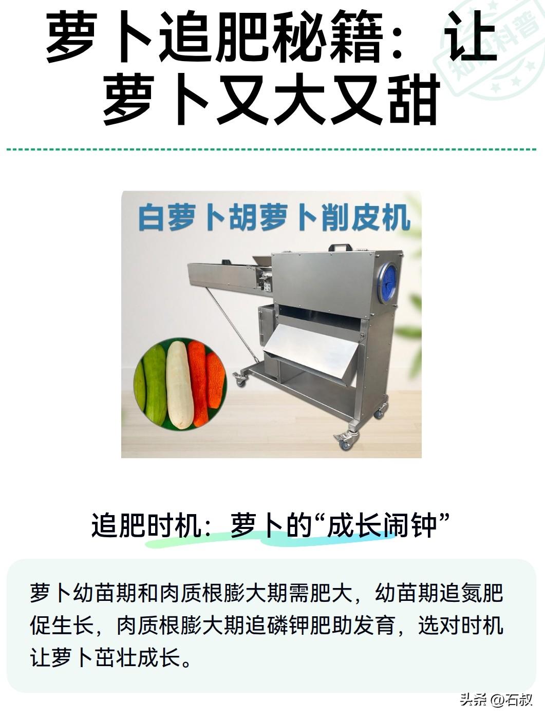 幼苗期的白萝卜，该如何追肥

萝卜小苗刚长出来，追肥千万不能心急，很多菜友一上来