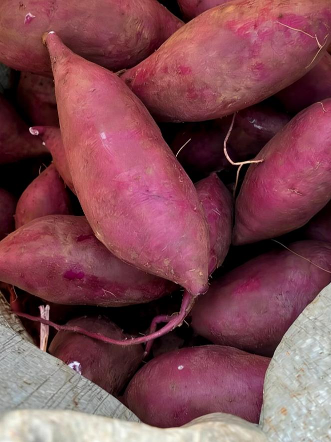 🔥“吃紫薯到底是智商税，还是真的更健康”？

最近刷到好多人说紫薯就是“染色红