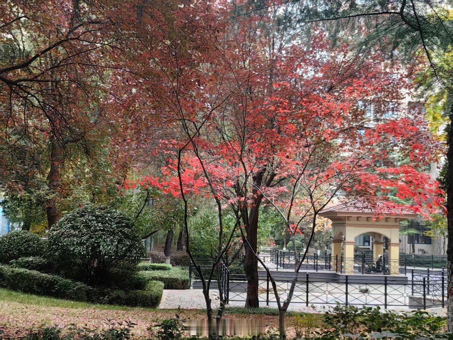 都累了，歇着吧。 