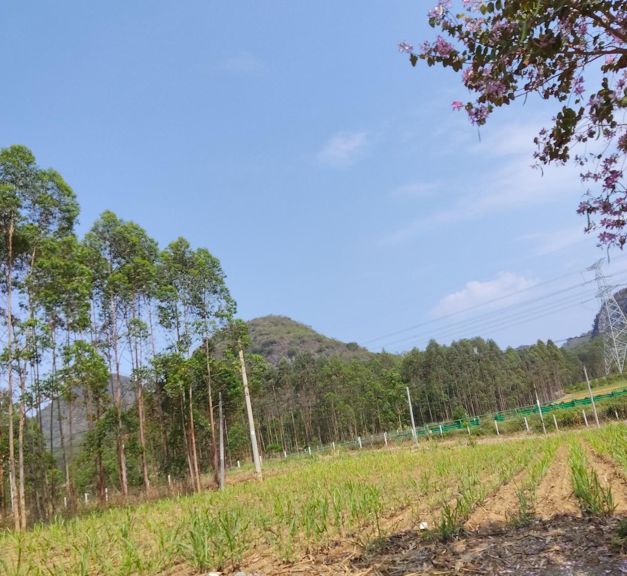 这是我听过最动人的情话，朋友阿俊跟我们说：“就算用位18岁的大美女来换他50多岁