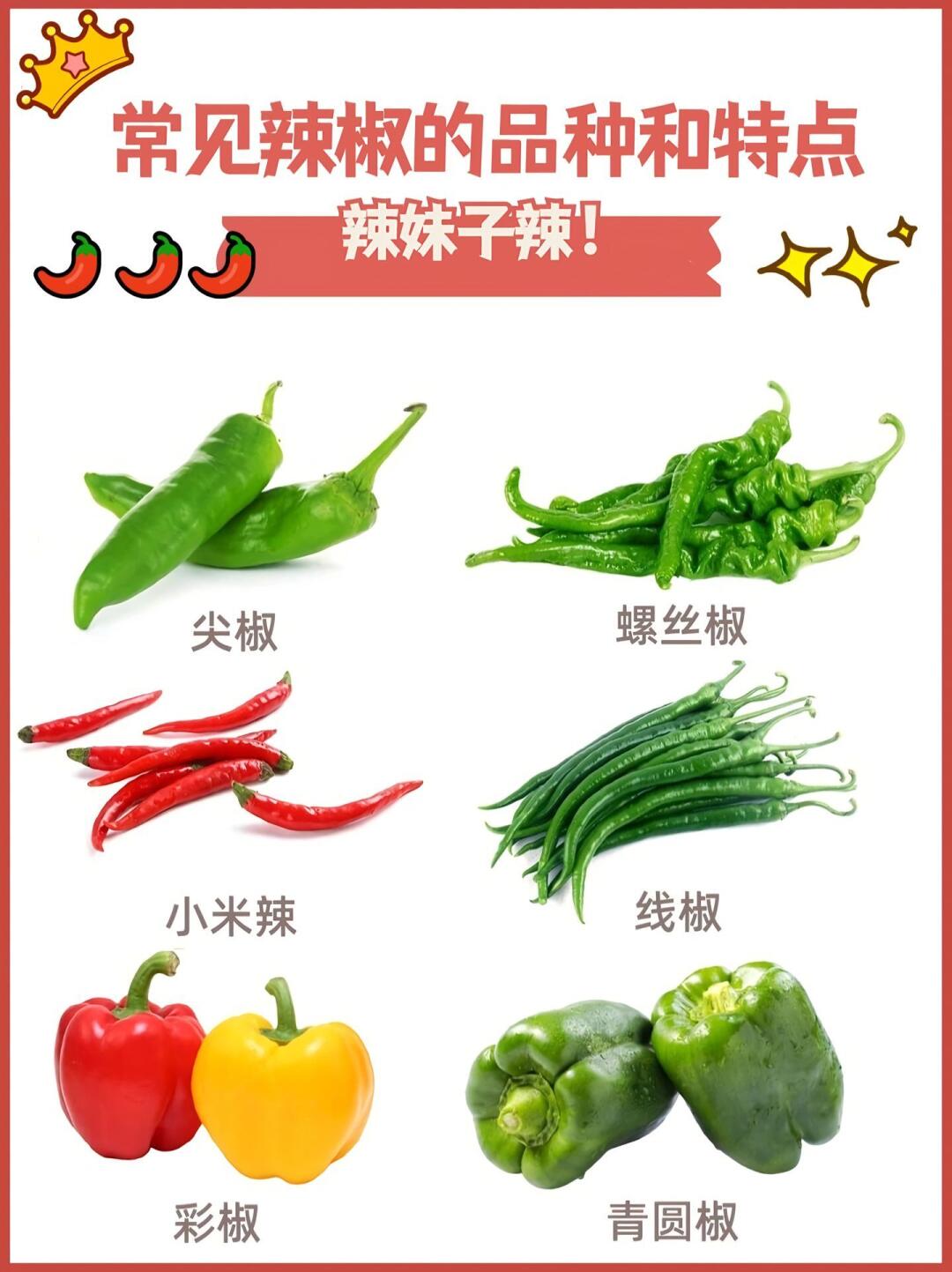 🌶️日常常见辣椒届的宝藏选手，你pick谁？