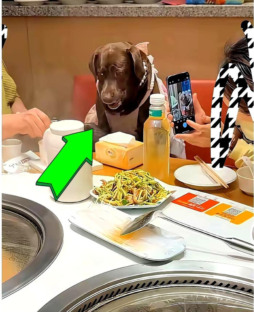 给狗过生日？
提倡给狗过生日，
分明这就是挑事。
刚吃饱饭没几天，
此类行为欠整