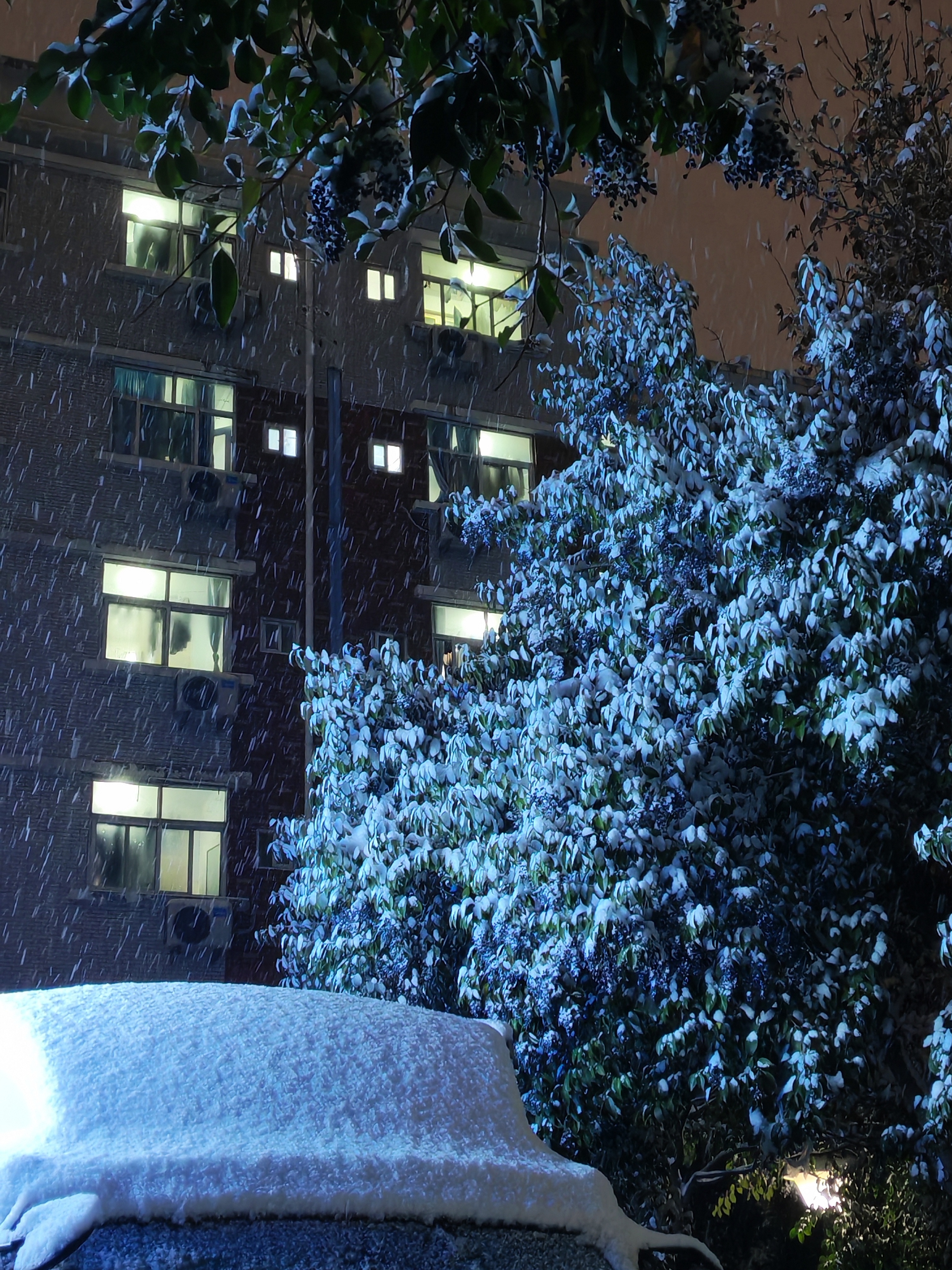 后天中午就要回家啦🥳🥰 