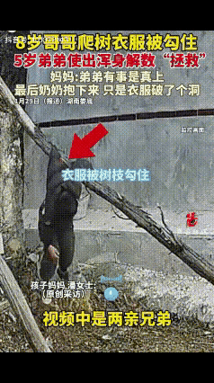 笑不活了！湖南娄底一小哥爬枯树玩，下树时衣服被树枝牢牢挂住，
整个人悬在半空进退