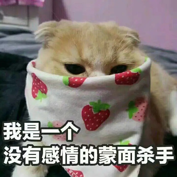 所有人都动起来，转发压垃圾！小飞侠都来！影音会： 网页链接阿部：网页链接兔毛：网