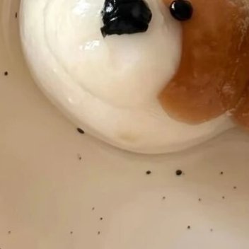 世界上最美妙的莫过于此，在不谙世事的年纪，对生活的全部期待就是绚烂的理想本身。—