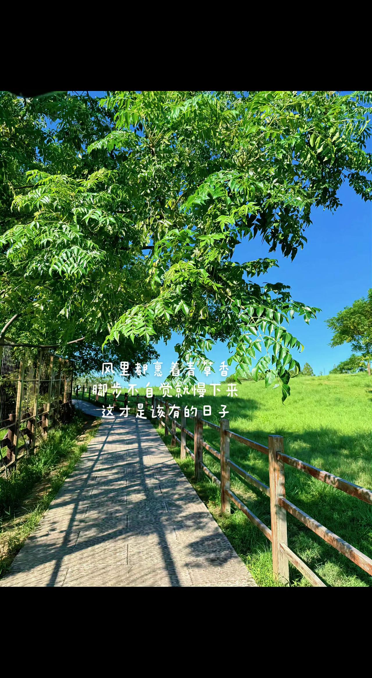 🌿光影在石板路上跳圆舞曲，栏杆把风剪成碎诗✨。日子该是这样——脚步追着云，心跟