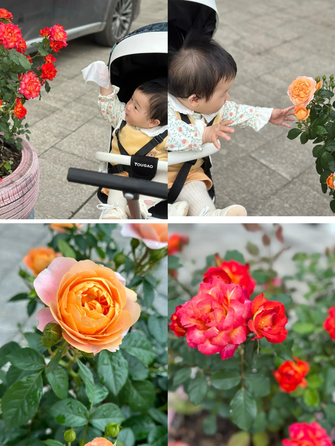 想培养小宝宝的观察力，可以带她去看花🌹