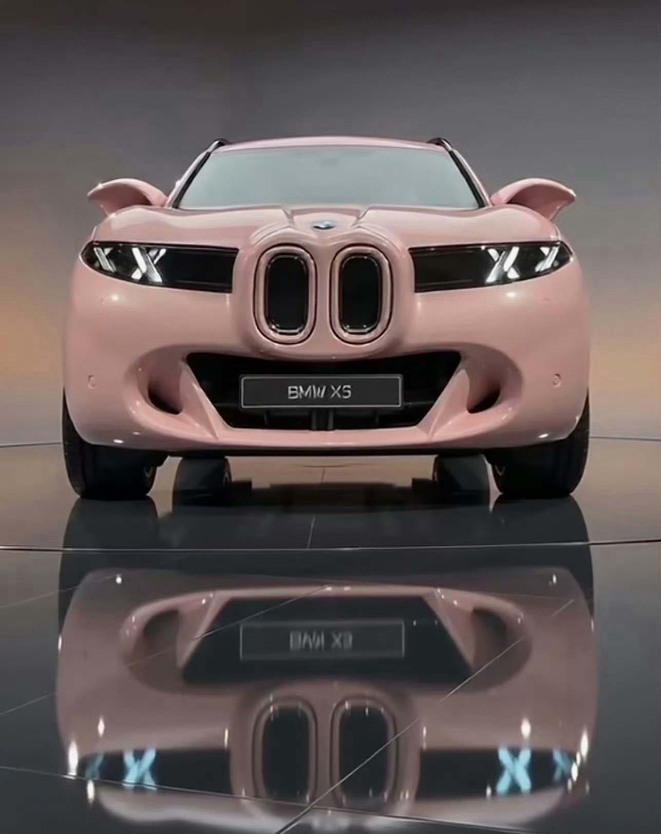 BMW X5的设计师很有想法 俺老猪…… 