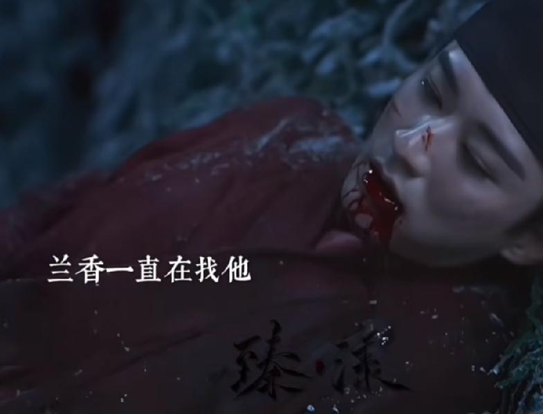 《兰香如故》林锦岐炸毁汉王的火器库时，受到冲击重伤吐血。兰香出门寻找退热的草药，