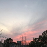 李四爱读体育