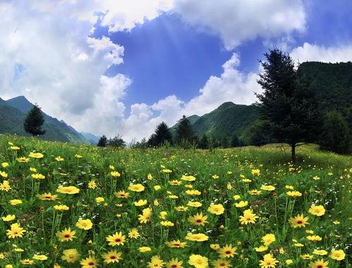 春天是“万物生长”的美。嫩芽顶破冻土，桃花漫山遍野，细雨打湿青石板路，连风里都带