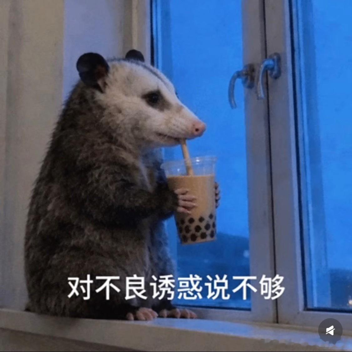 1点点 背刺失去奶茶自由从1点点做起，还好我爱喜茶