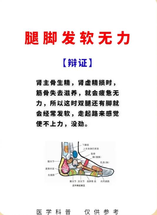 肾主腰膝，从腿脚变化读懂肾气状态