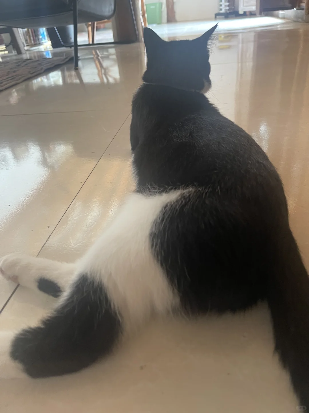 穿棉裤了