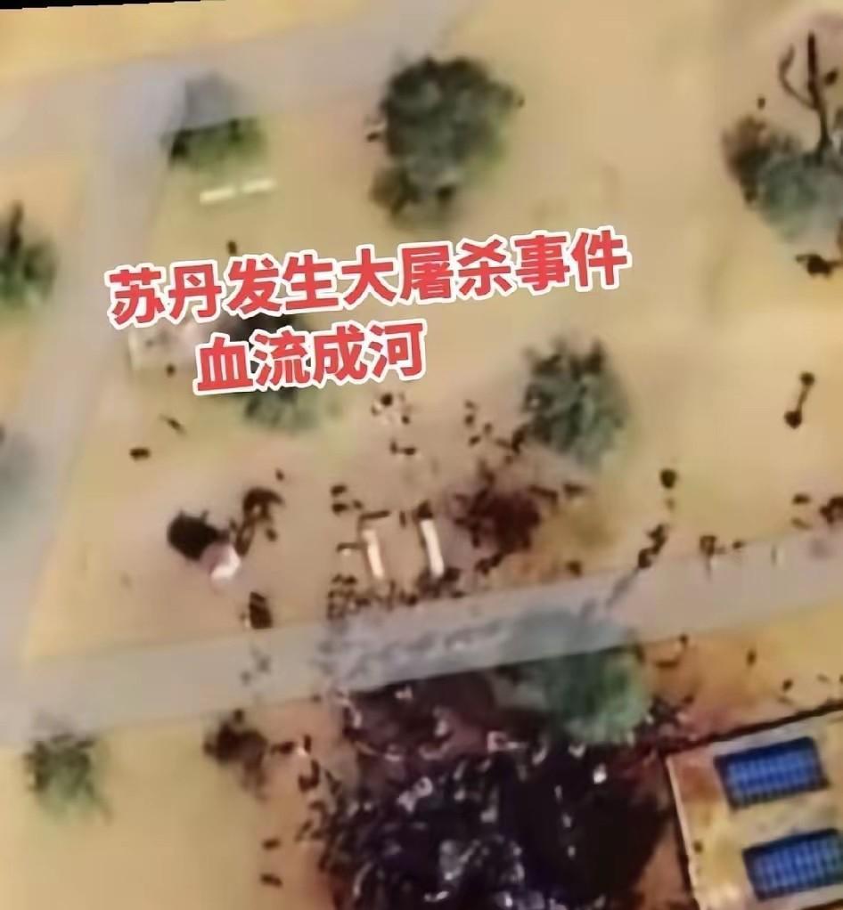 最近看到一条新闻，说苏丹那边出了大事。反政府武装围困一个城市500多天，最后竟然