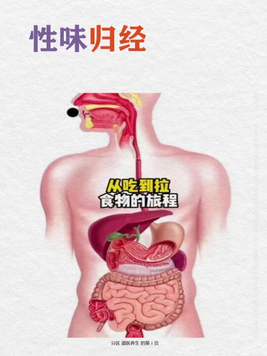 古中医养生04篇｜性味归经