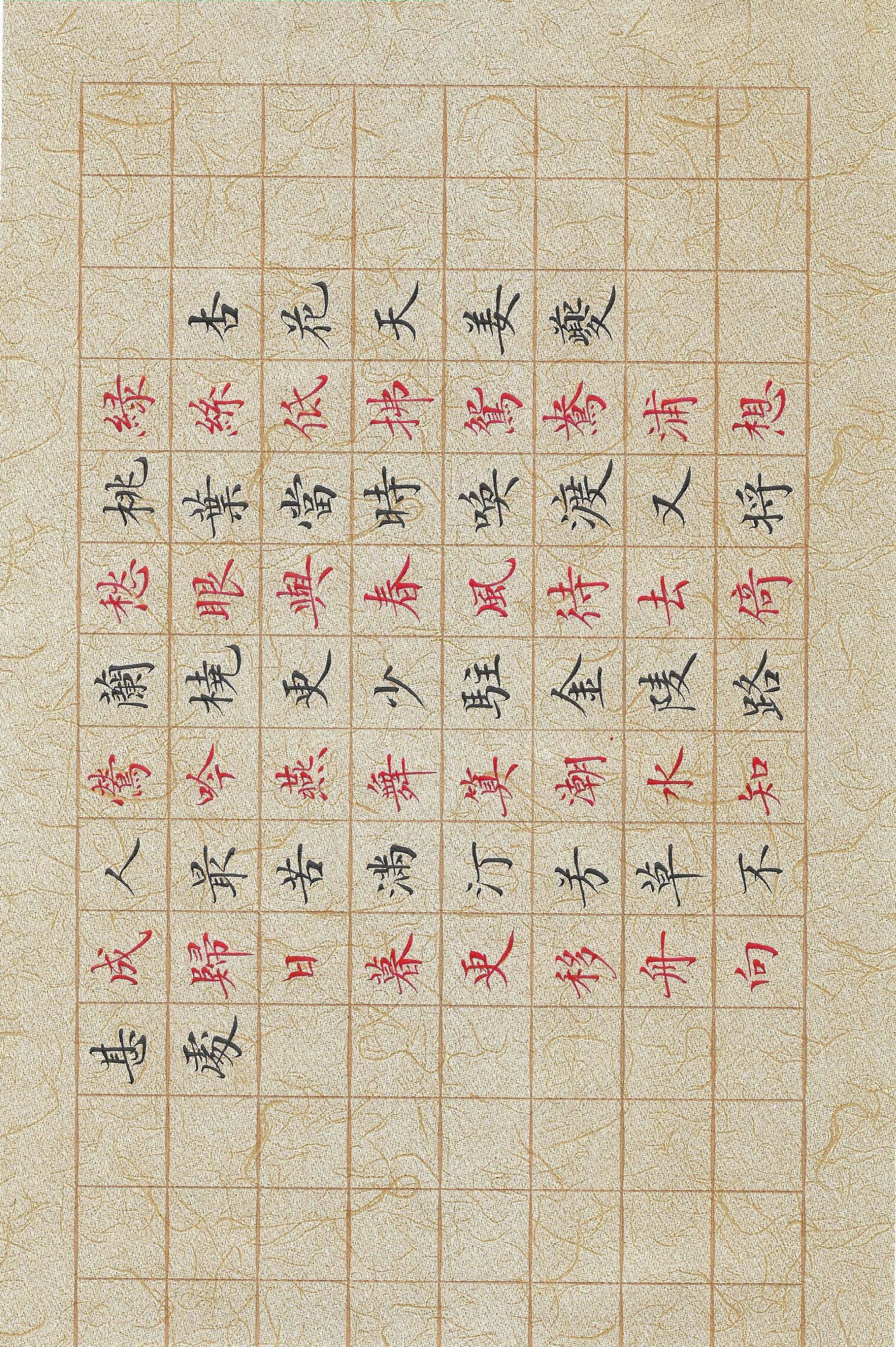 每天都有认真的练习，扫描件分享给大家。卢中南小楷秀丽笔书写