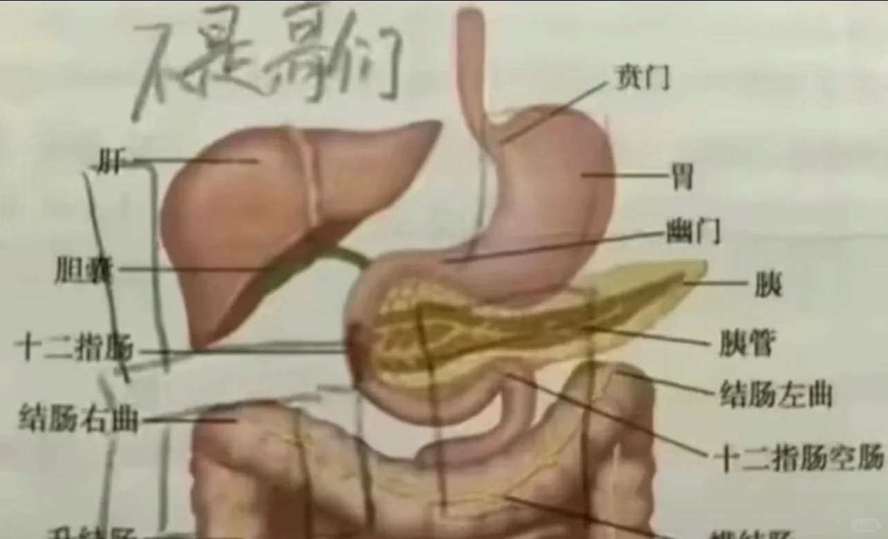 不是哥们都已经进化的这么抽象了吗？