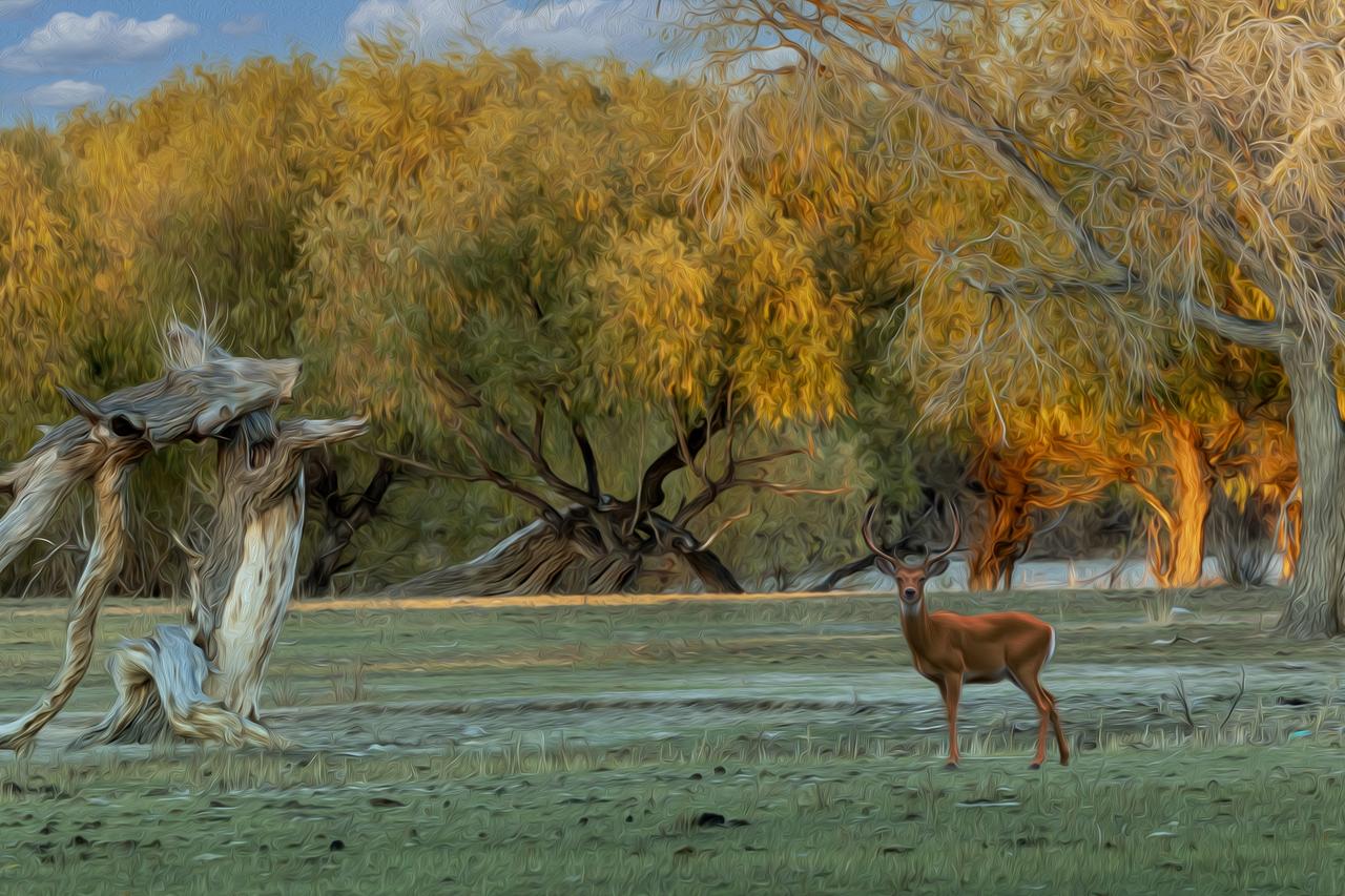 我的油画摄影——前期拍摄是基础、后期制作是装修。