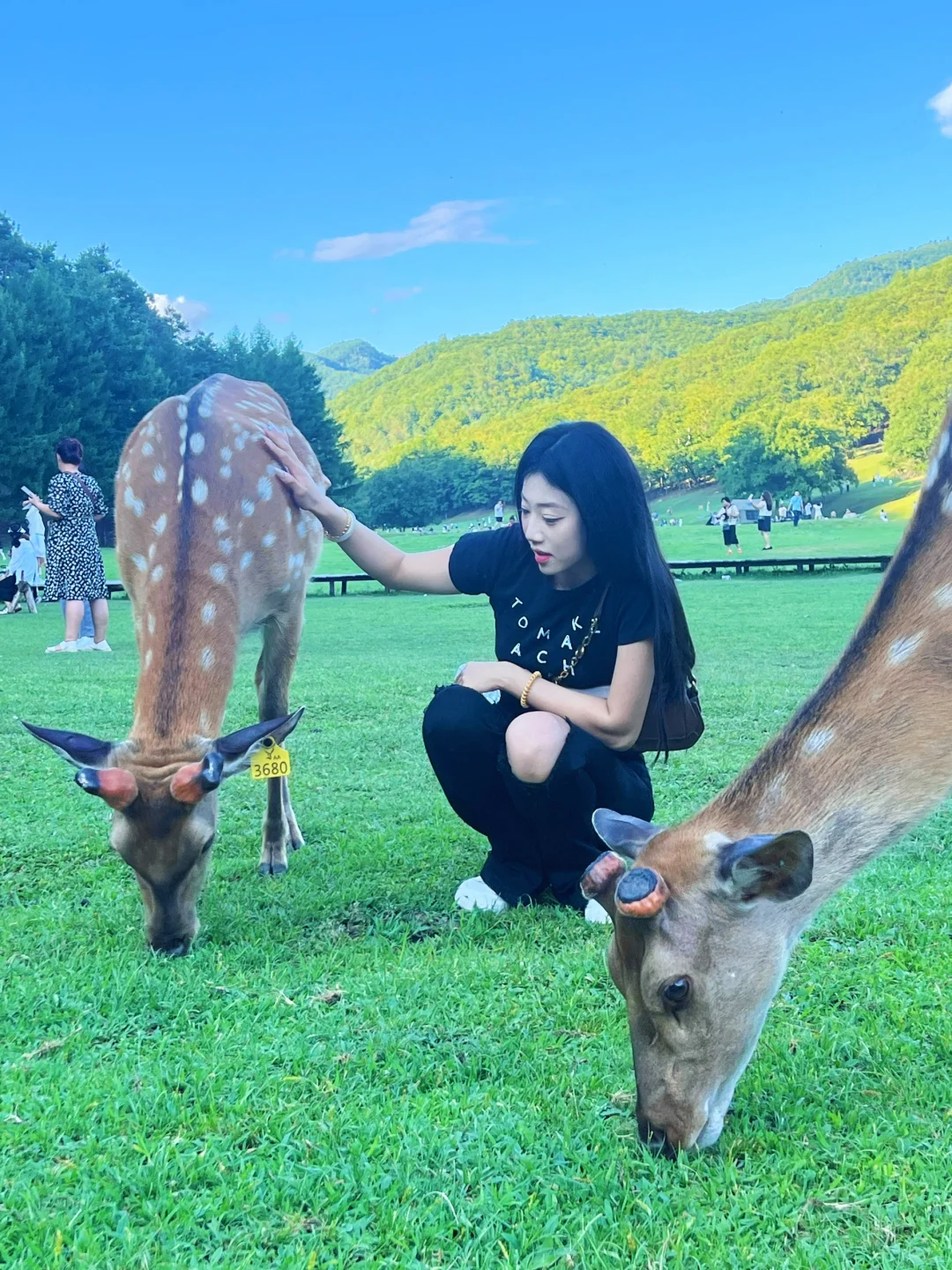 伊春金山鹿苑|宠物友好的童话世界