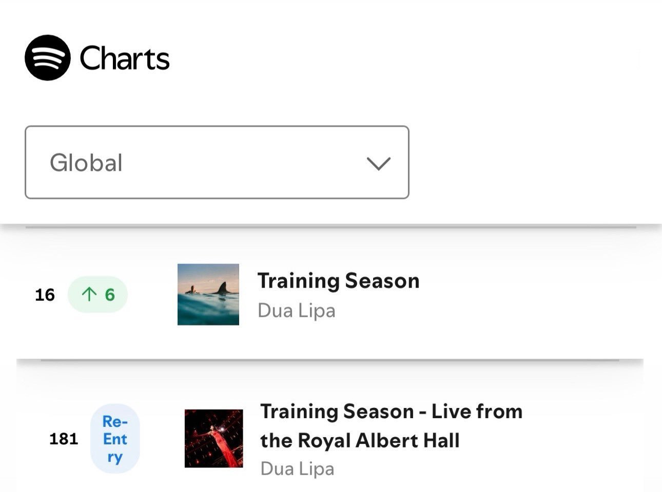 DuaLipa[超话]  TS 家族周一回升⬆️ ​​​