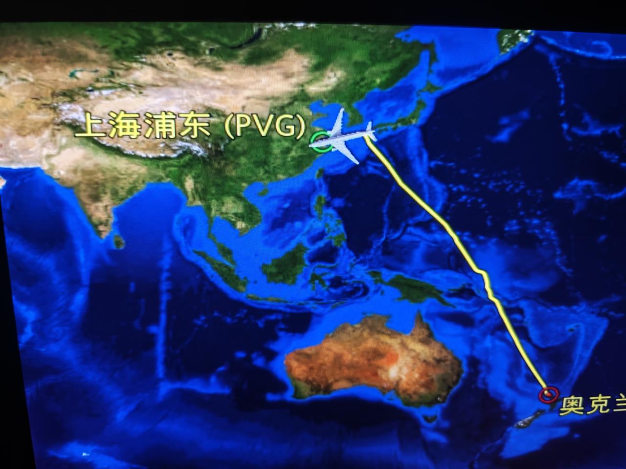 为了心灵的安慰

新西兰的旅程原计划四月中旬回国，进入腊月，临近年关，心里有一件