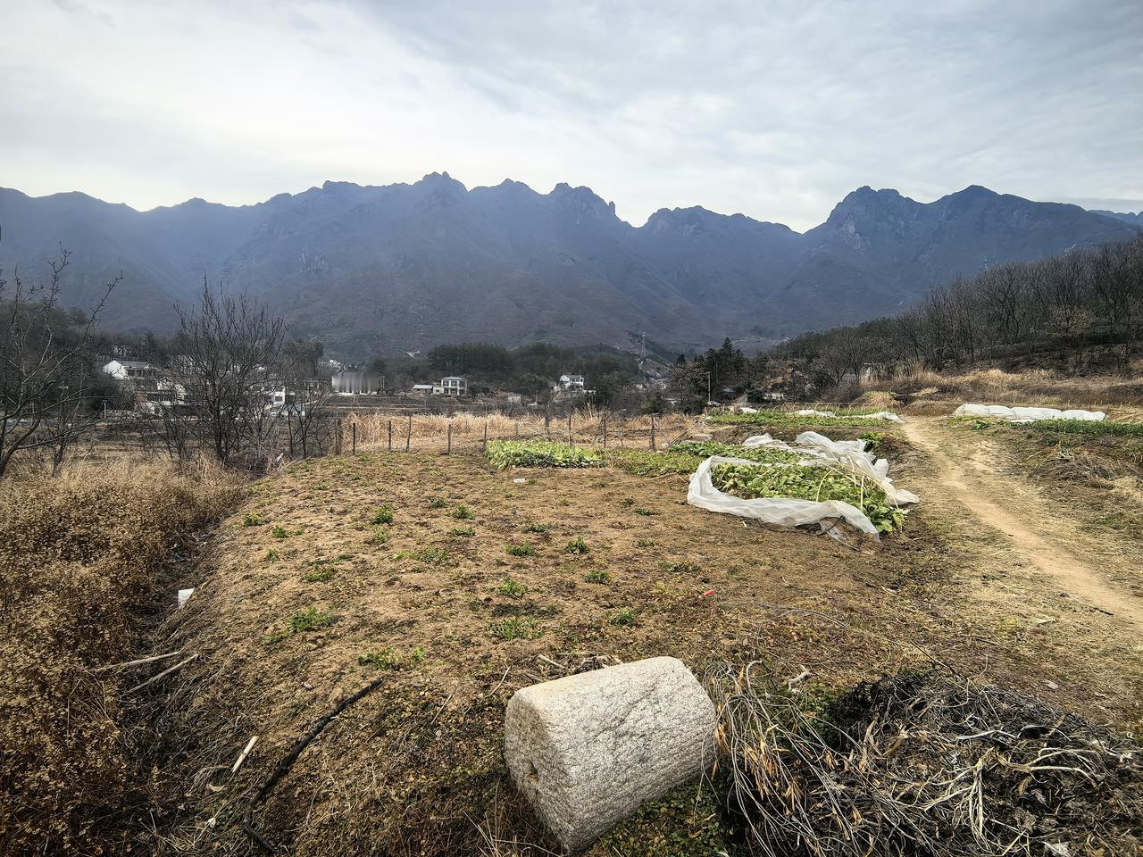 在商城县伏山乡里罗城村与七里山村分界岭的平岗，远眺金刚台如一字长蛇巍峨峥嵘，矗立