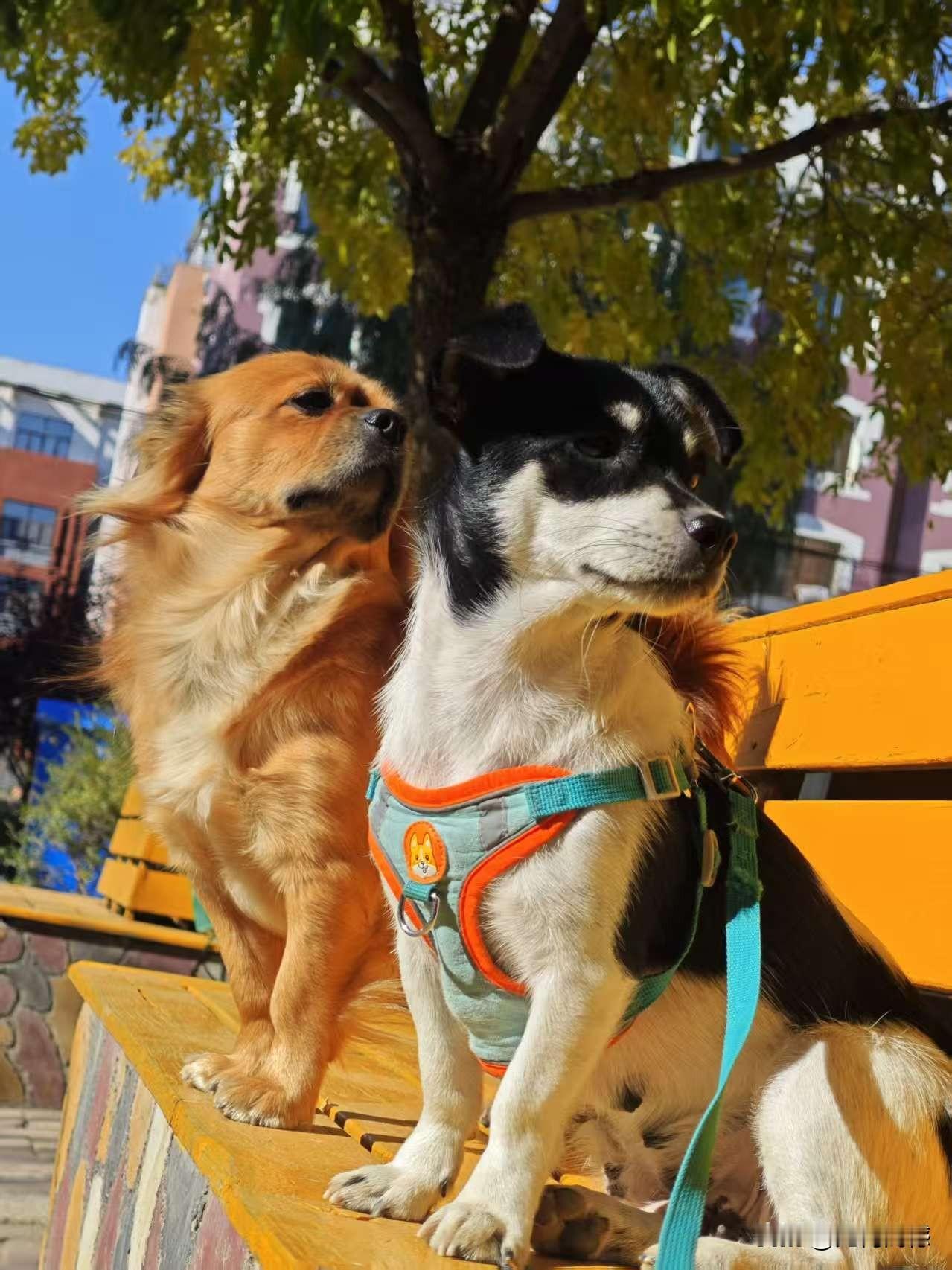 2025年，对我们全家来说，是幸福满满的一年，在这一年的时间里，大人孩子都很健康