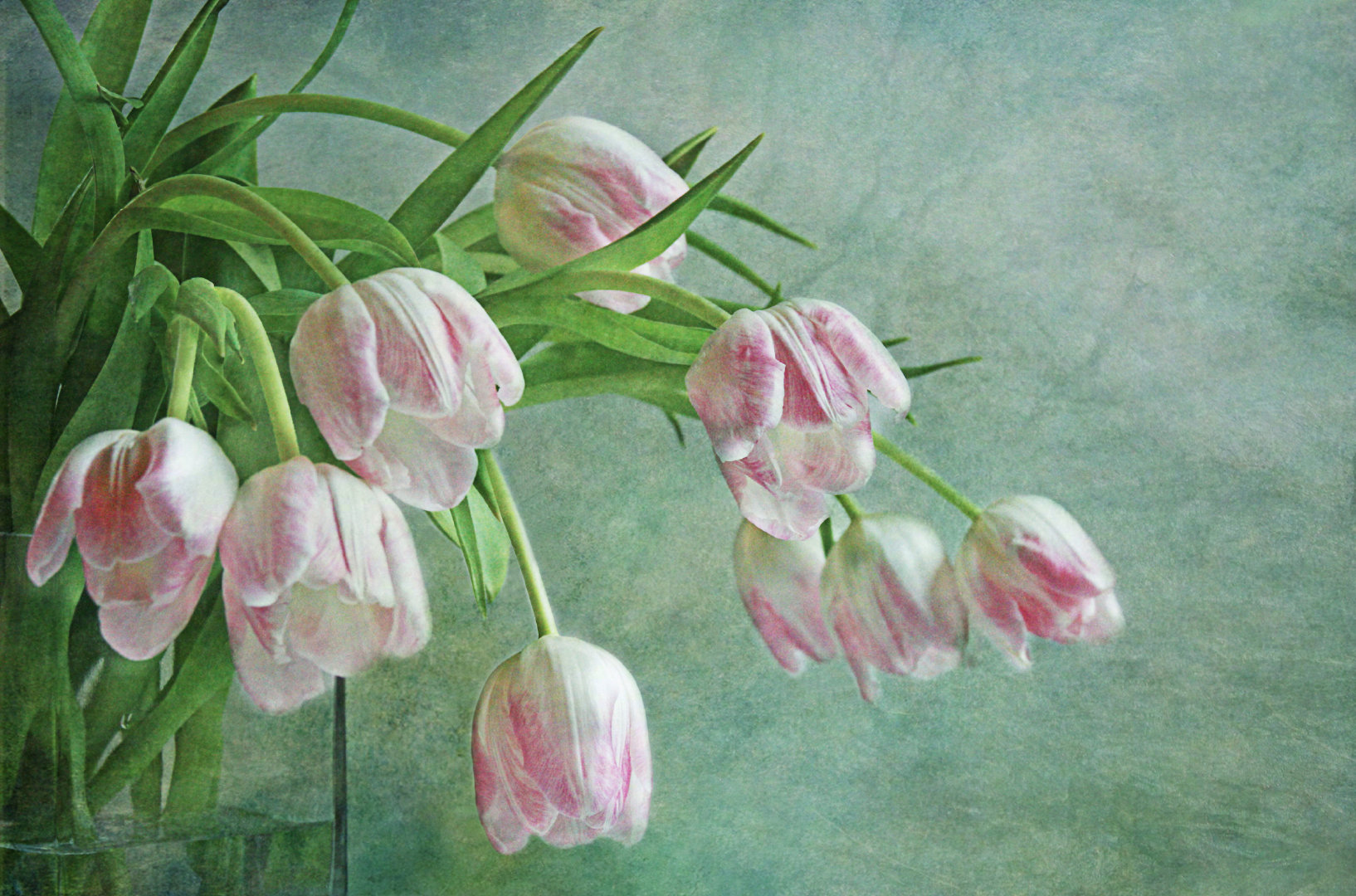 好书一大摞的橱窗 好书一大摞 弱者都是群居着，所以有芸芸众生。——贾平凹《孤独地