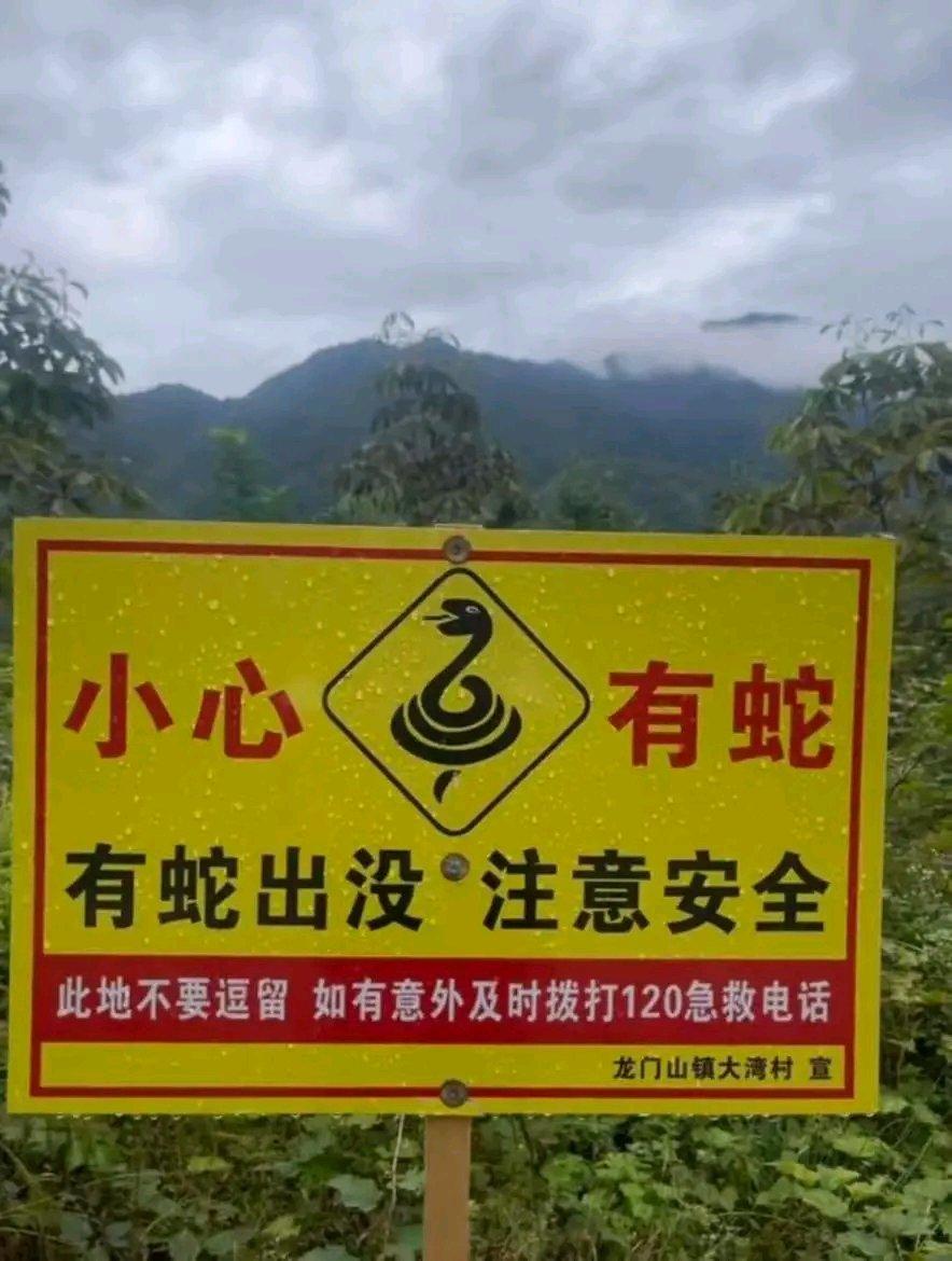 10月19日，广东惠州惠阳区白云嶂发生悲剧，一名男子闫某在登顶途中突发状况，经多